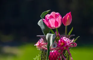 Web 上的图片技巧