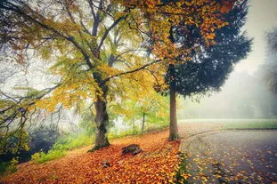 前端字体截取实战